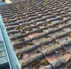 Inspection de Toiture à Aire-la-Ville avant le Démoussage : Étape Essentielle