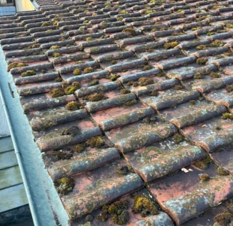 Inspection de Toiture à Aire-la-Ville avant le Démoussage : Étape Essentielle