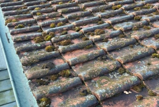 Inspection de Toiture à Aire-la-Ville avant le Démoussage : Étape Essentielle