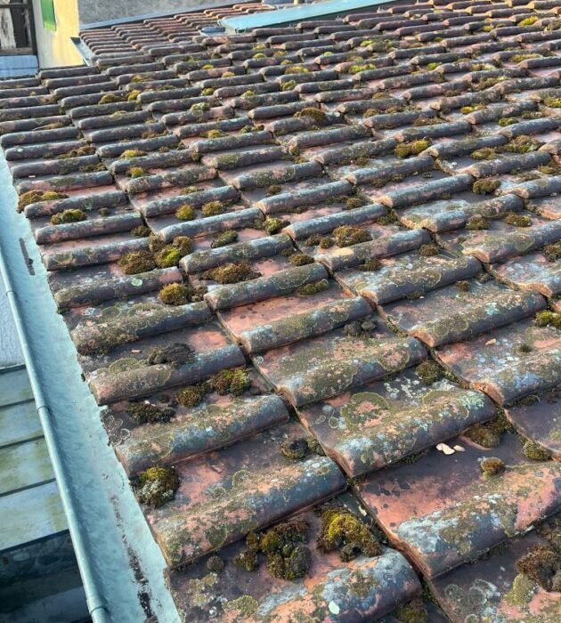 Inspection de Toiture à Aire-la-Ville avant le Démoussage : Étape Essentielle